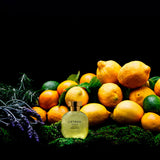 L'ETROG ACQUA
