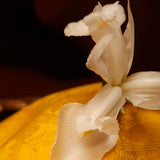 L'OR DE LOUIS