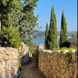 A GROVE BY THE SEA