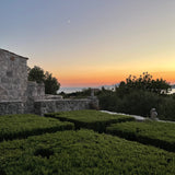 A GROVE BY THE SEA