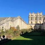 L'OR DE LOUIS
