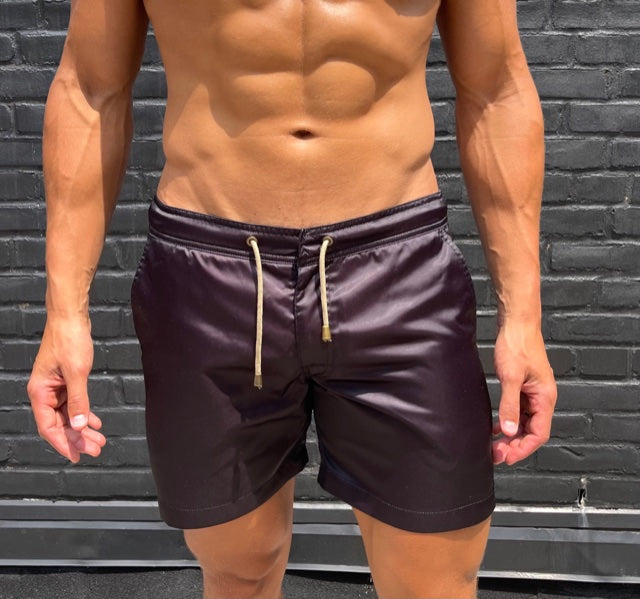 新品 74600円 Charvet × Thorsun スイムショーツ 34 新品 74600円